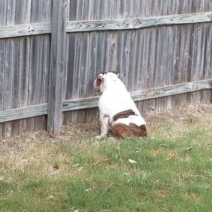 Meet your Posher, Brad